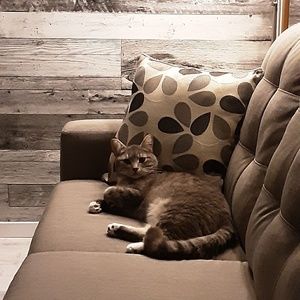 Meet your Posher, Nadira